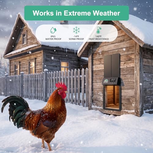 Automatic Chicken Coop Door Solar Powered, Automatic Chicken Door with Timer & Light Sensor, Aluminum Alloy Chicken Door with Multiple Modes