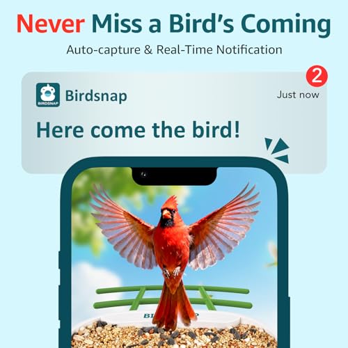 birdsnap® TUC Bird Feeder with Camera Solar Powered 2K Video with 32GB Card | AI Bird Species Identification, Squirrel-Proof, IP65 Waterproof, Outdoor Wireless, 2.4G WiFi, Gift for Mom Dad Bird Lovers - color: Green