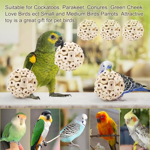 7Pcs Bird Toys for Parrots - Natural Soft Chew Shredding & Foraging Toy for Cockatiel Conure Quaker Parrot Budgie Parakeet Rabbit Bunny Guinea Pig Chinchilla - color: Model 2
