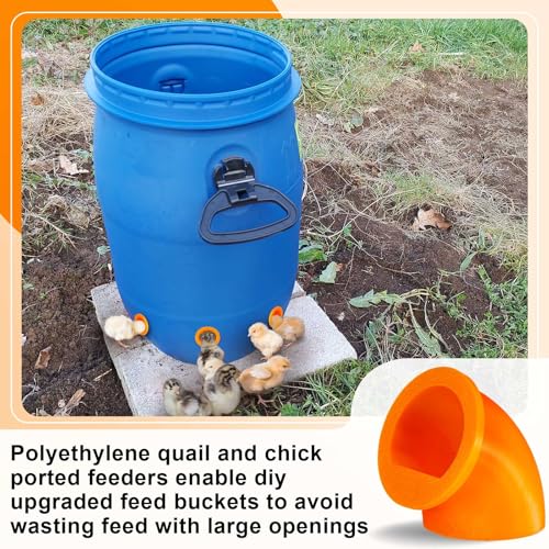 Teenyyou 20 Pack Quail Feeders No Waste Chicken Feeder Port DIY Chick Feed Saver Quail Supplies for Coturnix Small Poultry Farm Bucket Bin Container (1.5 Inch,Orange) - color: Orange, size: 1.5 Inch