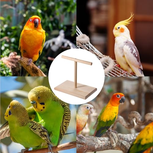 Bird Perch Stand, Bird Training Portable Tabletop Parrot Stand | Parakeet Perches for Cockatiels, Conures, Macaws, Finches Lovebirds