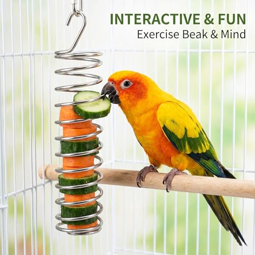3pcs Bird Foraging Toys, Green Stainless Steel Bird Feeder Bowl, Hanging Fruit Veggie Holder Spring Parakeet Parrot Cage Accessories