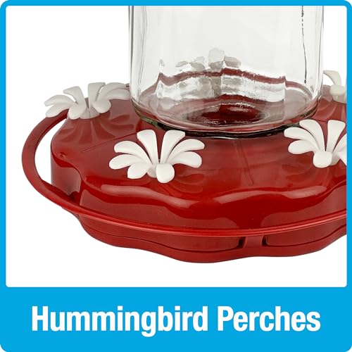 Nature's Way Hanging Glass Hummingbird Feeder for Outdoor Décor, 20 Ounce Capacity Nectar Feeder, Ant Moat, 5 Easy to Clean Flexible Ports, Red - style: 20 Ounce Capacity
