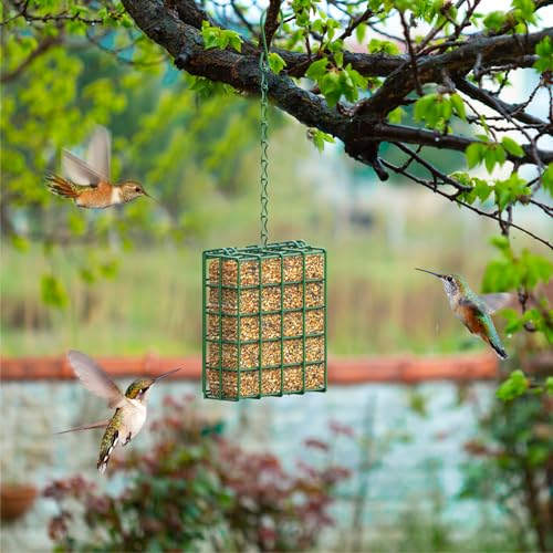 Bird Feeder for Outdoors, Suet Feeder for Outside Hanging Suet Basket Cage | 2 Pack Hanging Bird Feeder Adjustable Chain Hanging for Garden Yard Outside - Suet Cake Feeders Squirrel Proof birdfeeder - style: 2 Packs