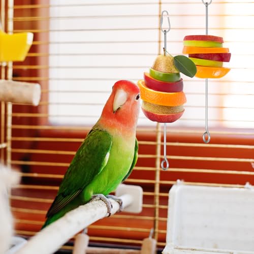 3 Pcs Bird Cage Food Holder Parrot, Stainless Steel Parrot Fruit Vegetable Stick Holders, Bird Food Treats Skewer, Birds Cage Feeder Foraging Toy Hanging Rodent Toy for Parakeet Budgie Macaw9.13inches