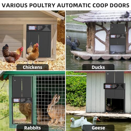 Automatic Chicken Coop Door Solar Powered with 4 Modes and Anti-Pinch | LCD screen electric chicken coop door with Timer & Light Sensor, Aluminum Alloy Chicken Door with Anti-Pinch, Remote Control