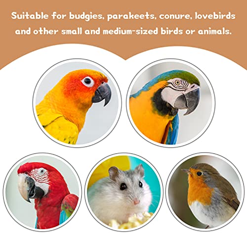 9 PCS Natural Wood Bird Perch, Wooden Parrot Perch Stand | Bird Cage Branches Platform Accessories for Parakeets Cockatiels Conures Macaws Finches Love Birds - color: 9Pcs