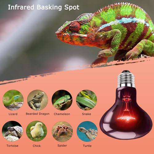 100W Reptile Infrared Red Heat Lamp, All-Day Basking Spot Bulb | Provides Consistent Day & Night Warmth for Leopard Geckos, Lizards, Chicks & Large Terrariums, E26 Base, 2-Pack - color: Infrared Heat Lamp, size: 100W Upgraded - 3.1"