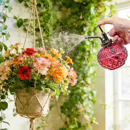 Plant Mister, Amaranth Glass Decorative Vintage Spray Bottle 10 oz | Glass Mister with Plastic Pump, 300ML Small Watering Can Decorative for Indoor Outdoor Succulent Garden Cleaning Empty Bottle - color: B-Amaranth