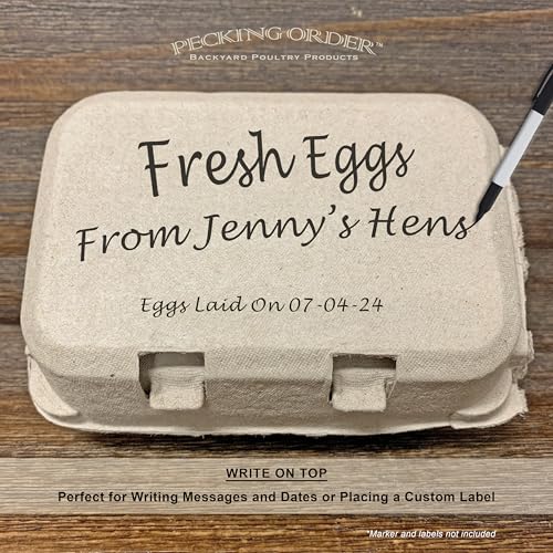 6-Egg Paper Egg Cartons - 24 Pack