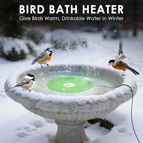 Dreyoo 60W Bird Bath Heater, Submersible De Icer for Outdoor Winter Use, Thermostatic Control, IP65 Waterproof, Chicken Water Heater for Birds, Poultry, Livestock, Wildlife Drinking (2 Pack)
