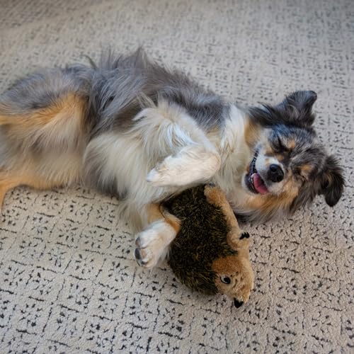 Outward Hound Hedgehogz Plush Dog Toy, Squeaks & Grunts, Medium, 9" x 6.5" | Soft Realistic Faux Fur, Round for Rolling & Chasing, Cuddle & Carry, Interactive Fetch, Light Chewers, Dogs & Puppies - size: Medium (Pack of 1)