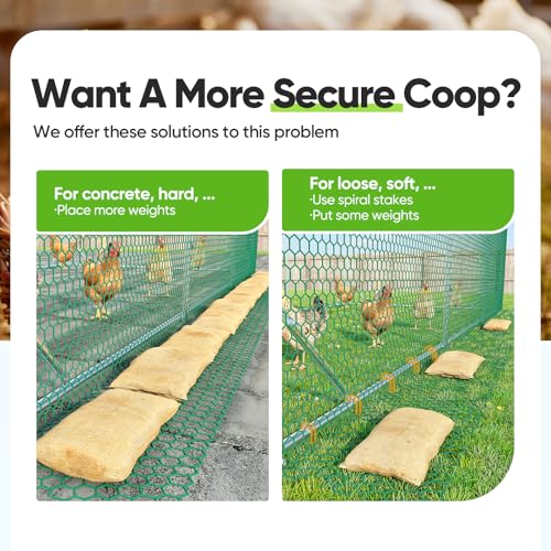 Quictent Essential Series 6.6x9ft Metal Chicken Coop Run w/Climbing Ladder | Walk-in Outdoor Poultry Cage with PVC Coated Chicken Wire, Hen Duck Rabbit Farm House, Waterproof Anti-UV Cover - size: 6.6x9ft