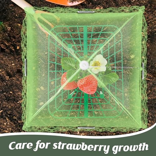 4 Sets Strawberry Plant Support with Mesh Plant Cover,Strawberry Growing Racks Sets with Iron Plant Nails and Storage Bag for Garden Strawberry Vegetables(Green Net - Square) - color: Green Net - Square