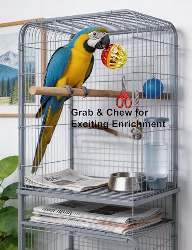 12-Pack Bird Toy Set, Bell Balls Rings Rattles, Non-Toxic PP | No Sharp Edges, Safe for Bird Beaks and Claws, Fits All Standard Cages