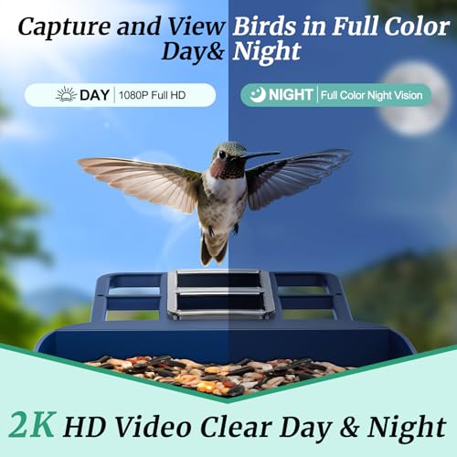 Bird Feeder with Camera, Solar Powered, 2K HD Live Video, Gifts for Men | AI bird recognition and real-time app alerts, built for reliable outdoor use in gardens, patios and backyards.
