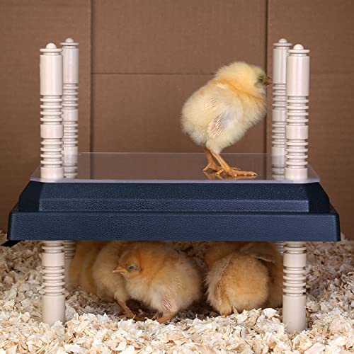 Brooder Heater for Chicks: Chick Brooder Heating Plate with Easy- Cleaning Plate Poultry Coop Heater Chicks Warmer 12" x 12" for 20 Chicks Adjustable Height Brooding Heater 22 Watts - color: Black-12x12