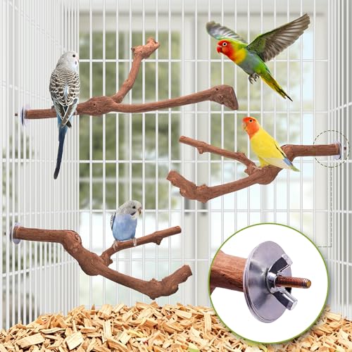 3PCS Bird Perch Natural Grape Stick Chewable Bird Stand Paw Grinding Branches Toy Cage Accessories for Small Budgies Cockatiels Lovebirds