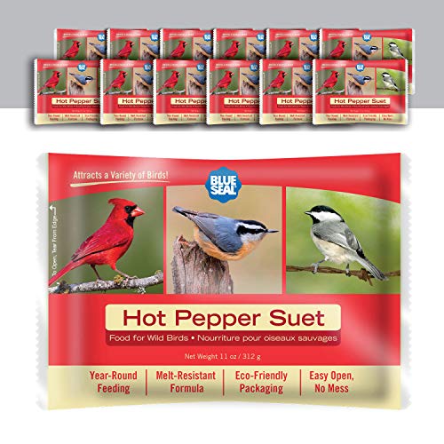 Blue Seal Hot Pepper Suet Cakes for Wild Birds | No Mess Suet Feed with Cracked Corn | Food for Woodpeckers, Cardinals, Siskins & Sparrows | Use with Suet Feeder | 11oz Seed Cake (12 Pack)