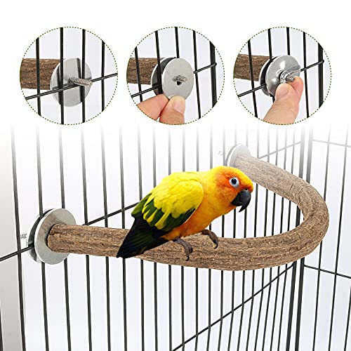 Rypet Natural Wood Bird Perch, U-Shaped Bird Perch for Cage (L) | Safe Chew & Rest Perch, Durable Non-Toxic Cage Accessory, for Parakeets, Cockatiels, Lovebirds, Budgies & Small Conures