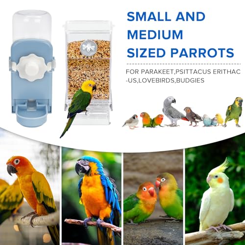 Lemtrflo No Mess Bird Feeder Water Dispenser Set, Automatic Bird Feeder | Parrot, Parakeet Cage Accessories - color: blue