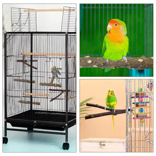 BNOSDM 5PCS Bird Perches Stand with Mirror Parrot Wood Stick Perches | Natural Forked Perch Branch Parakeet Toy Set Bird Cage Accessories for Budgie Cockatiel Conure Finch Lovebird