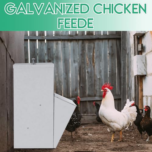 Uiifan 2 Pcs 25 lb Galvanized Chicken Feeder Weatherproof Poultry Metal Food Dispenser with Lid Chicken Duck Food Dispenser Rat Proof Feeder for Poultry Geese Quails Bantams Ducks and Turkey - size: 25 lb
