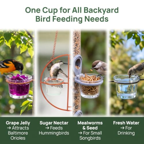 SUPVOX 1 Pack Oriole Feeder Replacement Glass Cup | 2.5 Inch Universal Bird Feeder Jelly Bowl, Glass Feeding Cup for Hummingbird Feeders, Outdoor Garden Patio Balcony Use