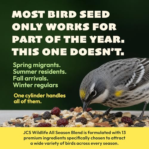 JCs Wildlife All Season Blend Bird Seed Cylinder with Hole, Suet Safflower Pecans Wild Bird Food for Outside Feeders, Cardinals Woodpeckers Chickadees Nuthatches, Made in the USA, 1.75 lb, Pack of 6