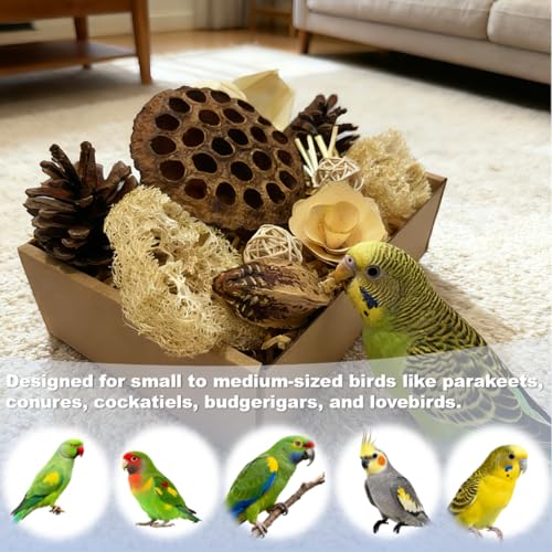 Bird Toys - Lotus Pod Foraging Box, 10 Natural Ingredients | Chewing and Shredding Parrot Toys | Ideal for Parakeets/Cockatiels/Conures/Lovebirds and Small to Medium Birds - size: Lotus Pod Foraging Box
