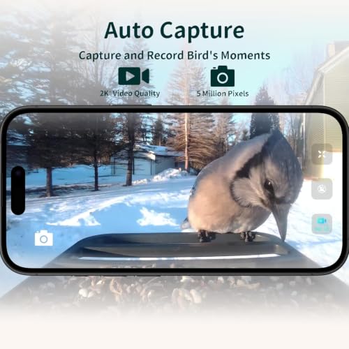 Smart Bird Feeder with Camera Solar Powered,2K UHD Video Live Stream,Easy Set Up,AI Bird Species Identification, Auto Capture Videos&5MP Photos,Instant Alerts,Gifts for Bird Lovers