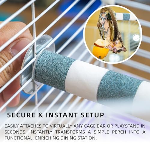 SMOLKITH 2-Pack Bird Perch with Fruit Vegetable Holder, Textured Nail Trimming Stand for Sugar Gliders, Parrots & Cockatiels, 304 Stainless Steel Foraging Skewer, 17cm & 21cm (Purple) - color: Purple