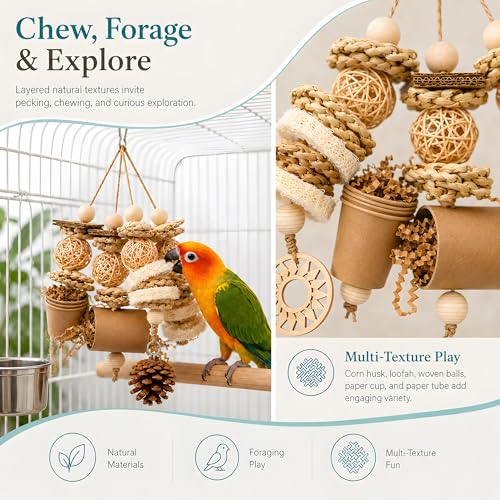Parakeet Foraging Toy with Loofah & Pine Cone, Bird Chew Toy | For Budgies, Cockatiels, Conures and Quaker Parrots | Multiple Textures for Pecking, Shredding and Active Cage Play
