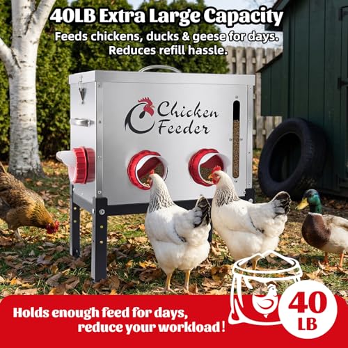 40LB Metal Chicken Feeder, Rat Proof Automatic Chicken Feeder with Visible Window & 6 Ports, Galvanized No Waste Poultry Feeder for Chickens, Ducks, Geese - size: 40 LBS