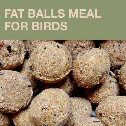 SWISSINNO Bird Feeders - No Mess Fat Ball/Suet Feeder for Outdoors Hanging - Smart Birds Lucerne Spill Proof Wild Cardinal Bird Feeder with Integrated Seed Catcher Tray - Sage - color: Sage, style: Lucerne