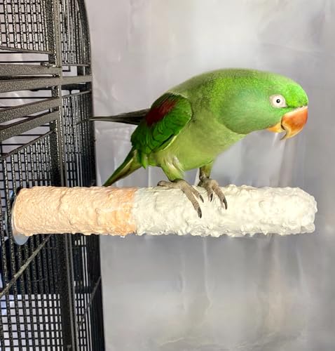 Polly's Edible Cuttlebone Calcium Bird Cage Perch for Budgies, Parakeets, Amazons, Blue & Golds, Macaws and Cockatoos.… (Variety, Large) - color: Variety, size: Large