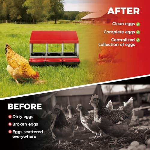 Chicken Nesting Box 3-Compartment Roll-Out with Pull-Out Trays, Egg Nesting Boxes for Hens, Chicken Coop Laying Box,Easy Wall Mounting with Metal Legs - color: red, size: 3 holes