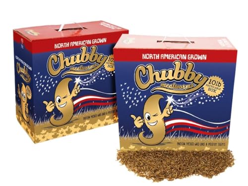Chubby North American Grown Dried Mealworms, 20 lbs | Non-GMO High-Protein Treats for Chickens, Ducks & Wild Birds – Sustainable Chicken Feed - size: 20 Pound (Pack of 2)