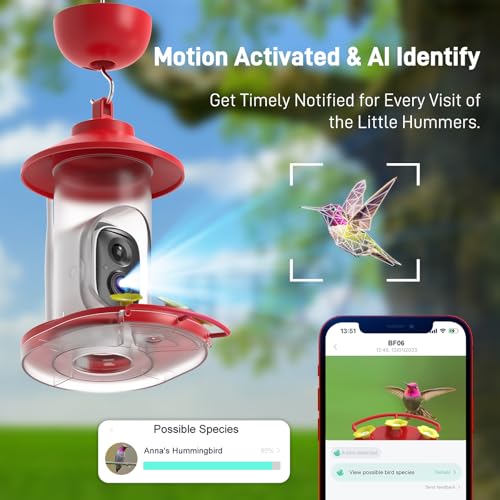 SOLIOM Hummingbird Feeder with Camera, Solar Powered 2K Smart Bird Feeder with AI Bird Identification, Auto Motion Detection, Ant Moat & Pole Mount, Ideal Gift for Hummingbird Lovers, 20 oz