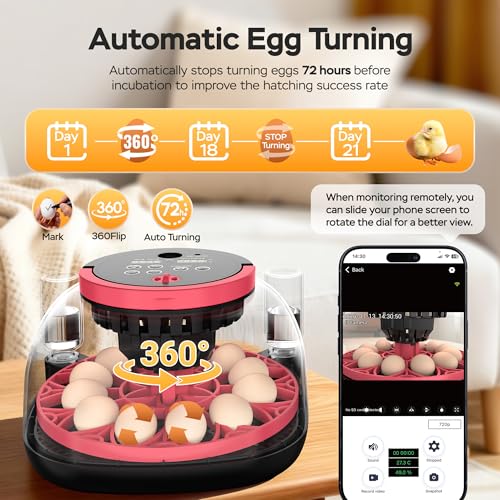 Full Automatic 12 Egg Incubator with APP Control & Video Record, Automatic Egg Turning, Temp & Humidity Control, for Beginner & Study & Small Farm, Ideal for Parrot Quail Chicken Hatching