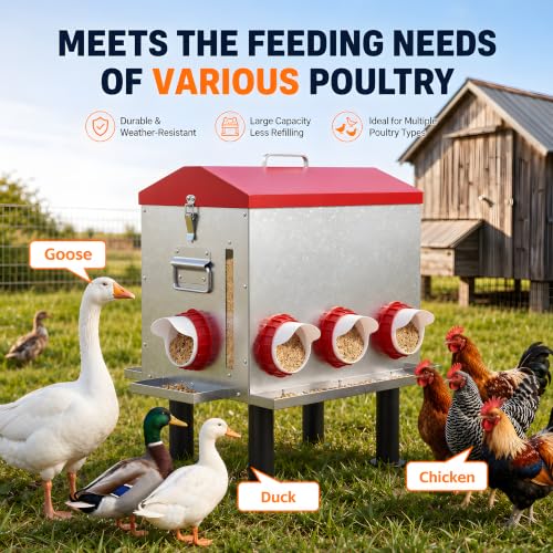 55 LB 10-Gallon Automatic Chicken Feeder, Large Metal Poultry Feeder with Window, 4-Sided No-Waste Feeding Design, Rust-Resistant Steel with Adjustable Legs for Outdoor Coops