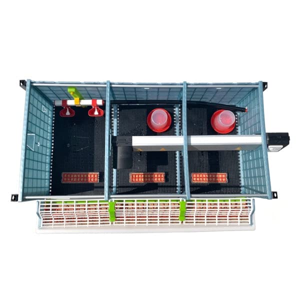 Hatching Time 9.5" Chick Brooders – Stackable or 2-Section Options with Automatic Heating, Modular Design, Easy to Clean, Ideal for Quail, Pheasant, and Baby Chicks (2 Layer) - style: 3 Section, 2 Layer