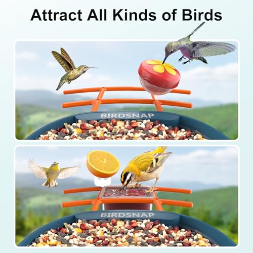 birdsnap® PAV Bird Feeder with Camera Solar Powered 2K Live Video 32GB Card | AI Bird Species Identification, Instant Arrival Alerts, IP65 Waterproof, Wild Bird Feeders for Outdoors, Gift for Bird Lovers - color: Blue