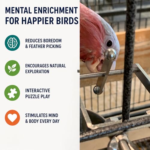 Bird Toys for Large Birds (Spinner) Stainless Steel Bird Toy with Traveling Spinner | Macaw Toys | Durable Puzzle Enrichment Toy for Medium to Large Birds Cockatoos Parrots | Bird Cage Accessories - color: Spinner