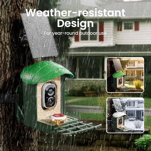 Smart Bird Feeder with Camera, 3K HD Live Stream, AI Species Identification, Solar Powered, Instant Motion Alerts, IP65 Weatherproof Outdoor Gifts for Bird Lovers, Green - color: Green-3K