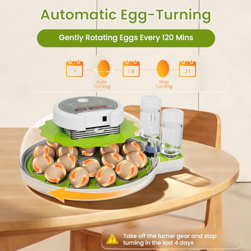 18-Egg Incubator with Automatic Egg Turning & Humidity Control, HD Panoramic View, Built-in Candler for Hatching Chicken, Duck, Quail Eggs Farms, Science Labs, Classroom, Home Use