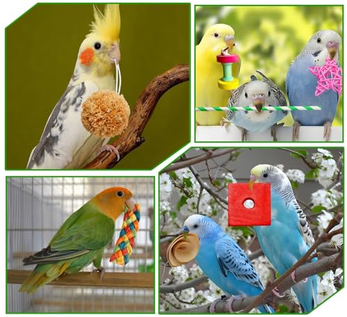 Bird Toys, Colorful Birds Foraging & Shredded Toy Boxs, Rattan Weaving Safe Parrot Toys, for Lovebird Cockatoo African Gray Parrot and Birds