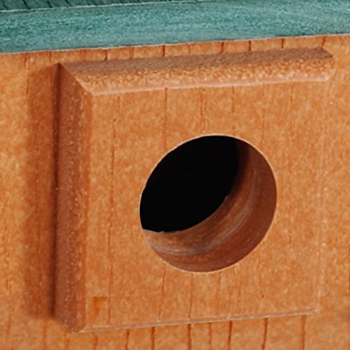 Going Green Bluebird House