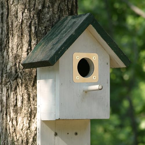 8PCS Metal Bird House Guard, Steel Birdhouse Entry Portal Hole Protector with Size 2x2in, Ideal for Eastern Bluebird Rooms Sparrow Houses, Made from Premium Steel