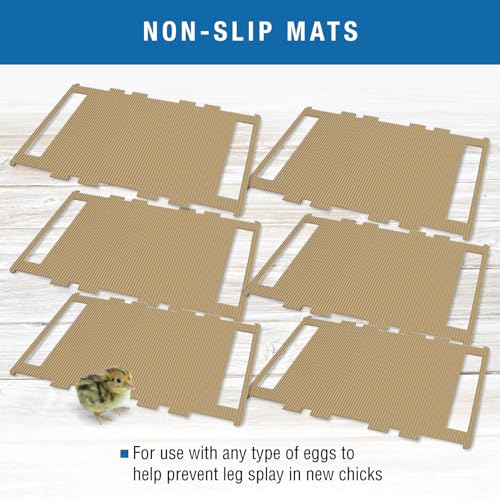 Brinsea Cardboard Hatching Mat for Ovation 56 Egg Incubator, Pack of 6 | Authentic Brinsea Ovation 56 Incubators liner; textured, disposable floor covering helps chicks grip safely during hatching - style: Ovation, 56 Egg Count Mat